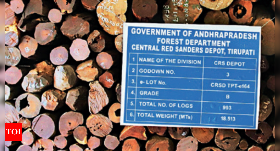 Slump in China eco hits red sanders auction in AP | Amaravati News ...