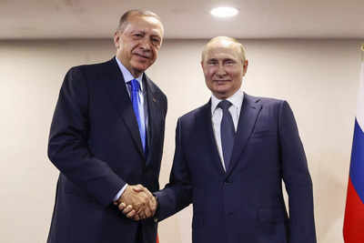 What's at stake when Erdogan meets Putin in a bid to reestablish the Black Sea grain deal