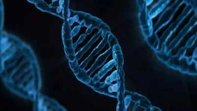 Bottleneck in human evolution explained using novel genomic analysis technique