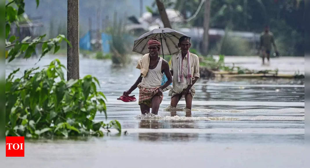 Floods Assam Floods Nearly 1 22 Lakh People Hit In 7 Districts India News Times Of India