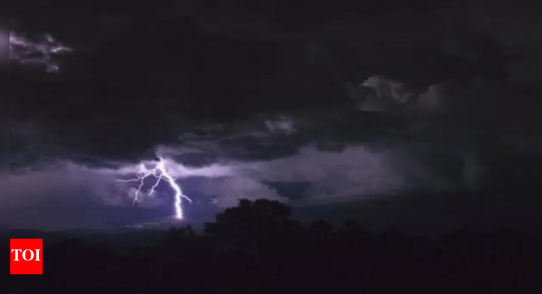 12 killed as 61,000 lightning strikes in 2 hours send shockwaves in Odisha | India News – Times of India 12 killed as 61,000 lightning strikes in 2 hours send shockwaves in Odisha | India News – Times of India
