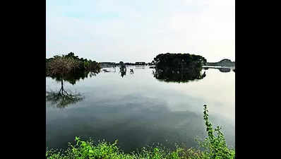 CMO intervenes to conserve Lingambudhi Lake after plea