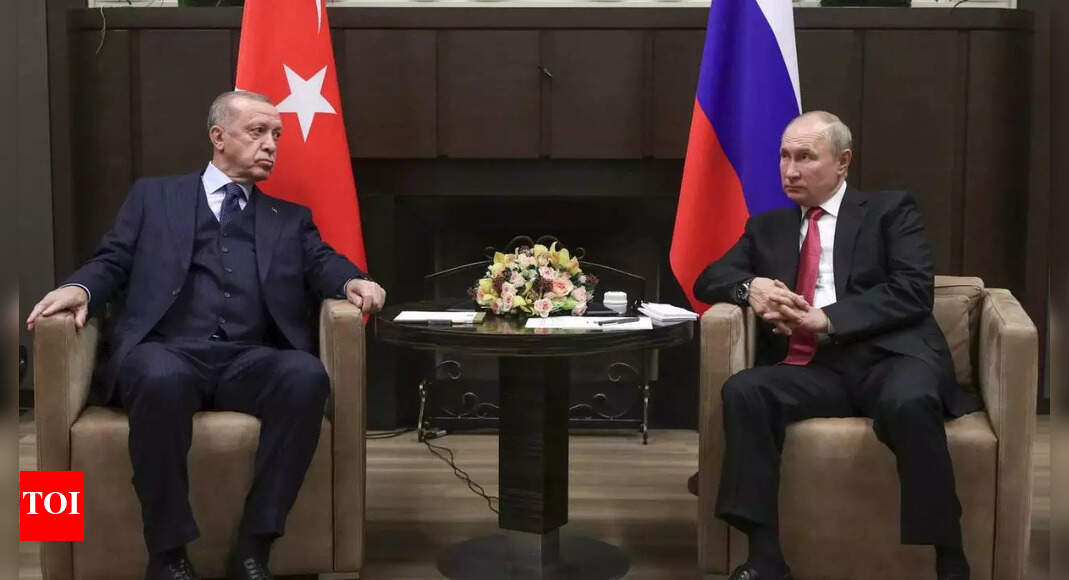 Grain Deal: Turkiye’s president meets Russia’s Putin and aims to revive the wartime Ukraine grain export deal