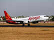 
SpiceJet allots shares to lessors to cut ₹231 crores dues
