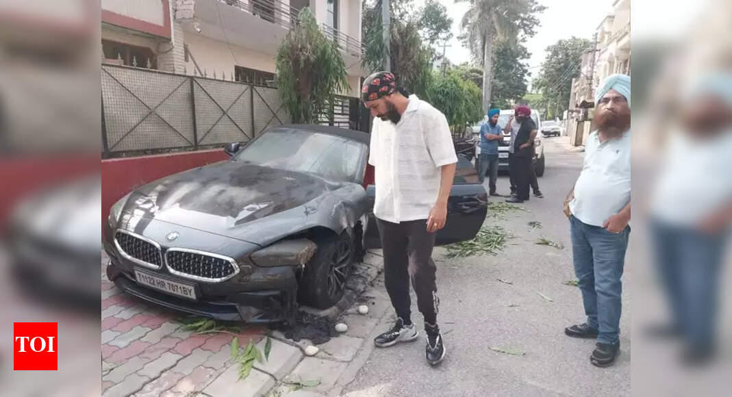 IT firm owner purchases BMW car for Rs 90 lakh, 'delivery boys' set it ...