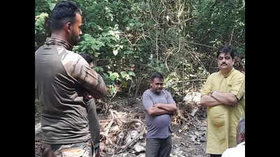 Rajaji National Park Tiger Reserve ignores illegal forest film shoot