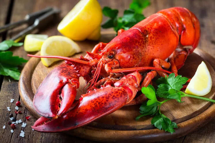 Lobster Roll Express, Belfast