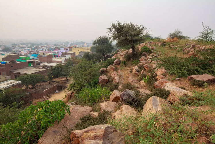 Braj Bhoomi Parikrama