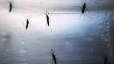Mumbai reports second Zika case; 15-year-old girl in hospital and stable: BMC