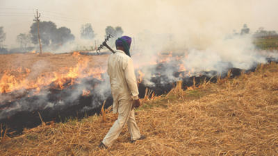 Incentives, fines: Plan ready to cut crop fires