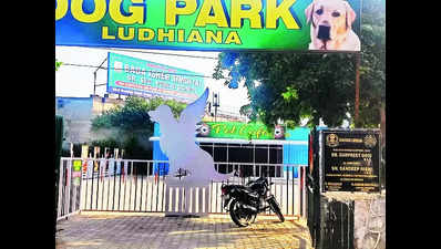 Dog park: COE flags ‘violations’, says will move NGT