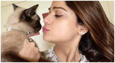 Pet parents in showbiz make mental health a priority for their adorable fur babies