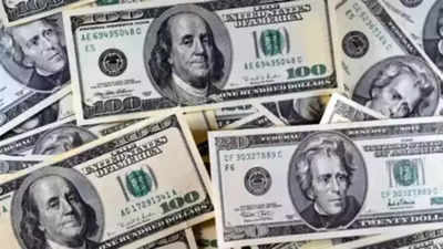 Dollar rises to six-month high after US data