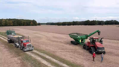 Crop Quality: Heat, drought spur early corn harvest in US corn belt ...
