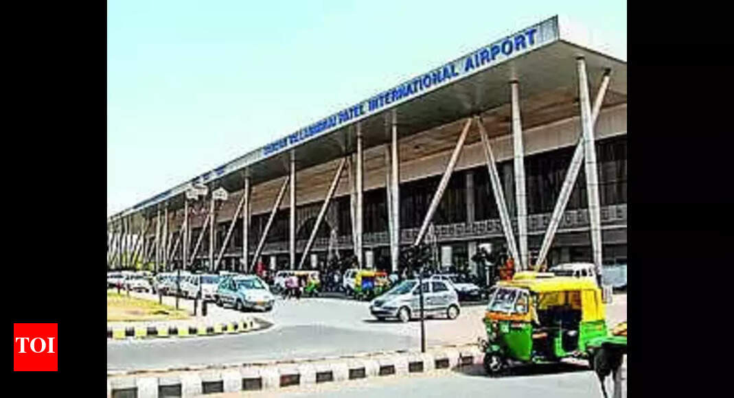 35% rise in animal and avian strikes at Ahmedabad airport | Ahmedabad News