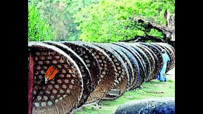 District admin lifts ban on coracle rides in Hogenakkal