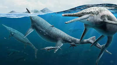 Fossils of short-necked extinct marine reptile found in China: report