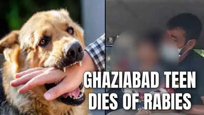 UP: Ghaziabad boy dies of rabies month after he was bitten by dog; FIR registered against four people