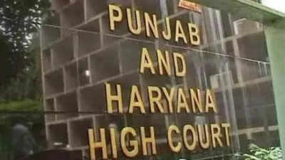 Stop mentioning religion in FIRs, proceedings: HC to Haryana DGP