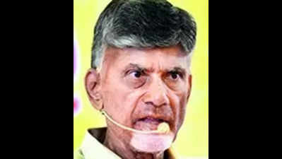 No farmer in state is happy as govt neglected agriculture, alleges Naidu