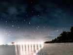 Bioluminescent Beach, the Maldives