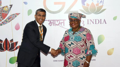 'Diversify supply chains for critical minerals'