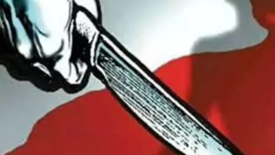 Woman stabbed to death by son in Delhi's Mayur Vihar