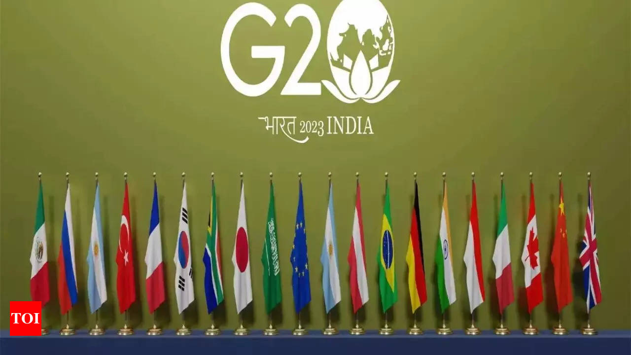 Habitat: G20 leaders promise to triple renewable energy capacity