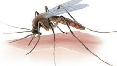 2 Dum Dum residents die of dengue