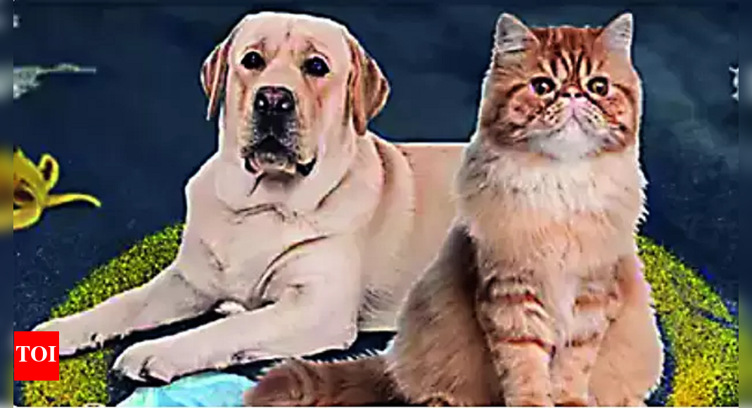 Dog Breeding Now, All Pet Shops, Dog Breeding Units Must Register Or