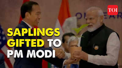 G20 Summit Delhi: Troika member Presidents of Indonesia and Brazil gift saplings to PM Modi