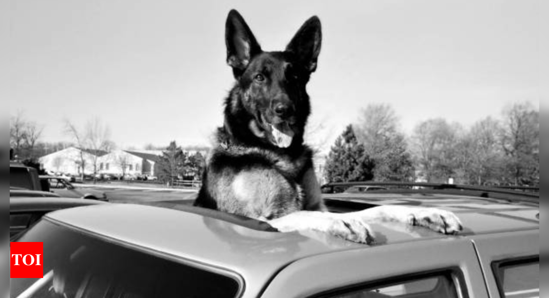 Love standing out of car sunroof? Gets ready to be fined by cops now