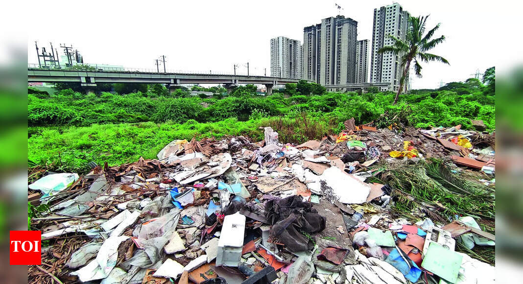 Government: Cooum Banks Sullied Again | Chennai News - Times of India