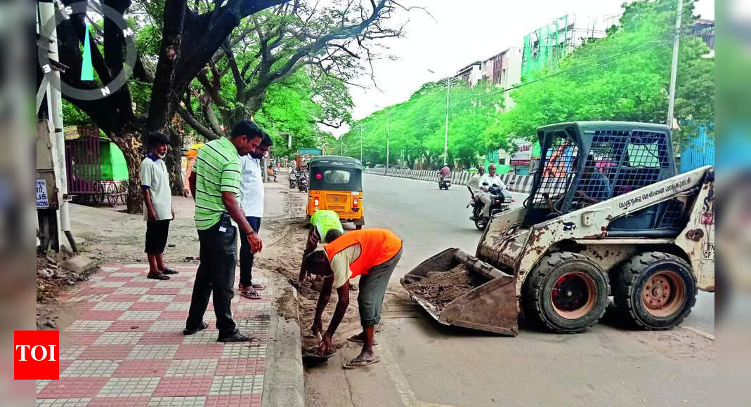 Waste 779 Police Complaints Filed Against Those Dumping Waste In Open