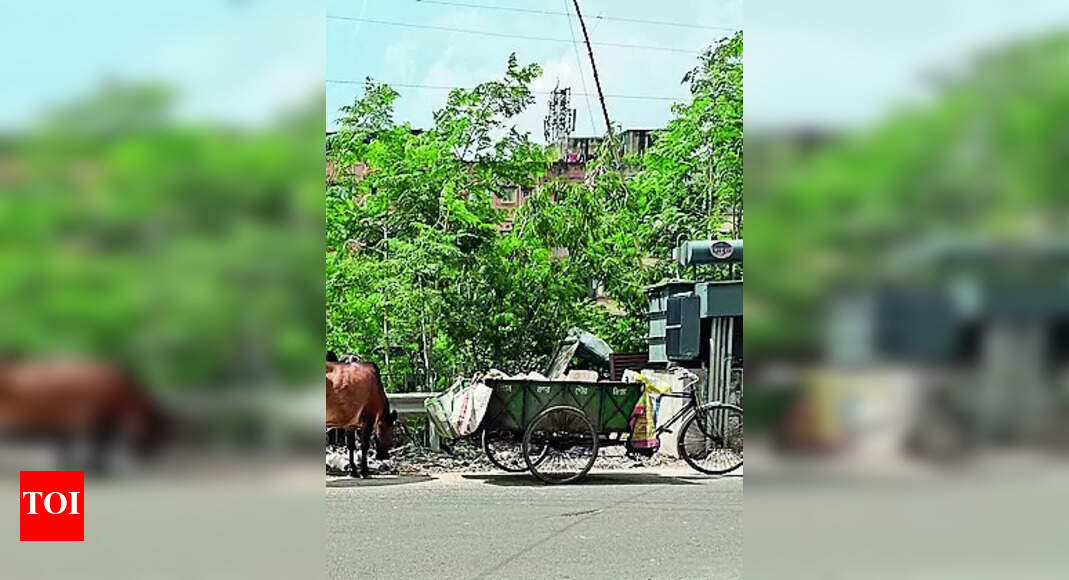 Waste Disposal Face Action For Open Waste Disposal Bmc Kolkata News