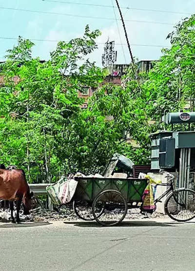 Bangla Meaning of Carriage