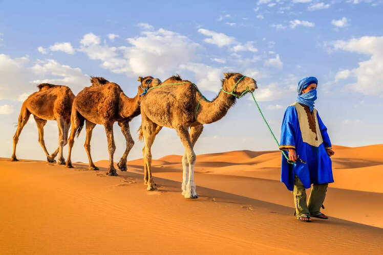 Tuareg, North Africa