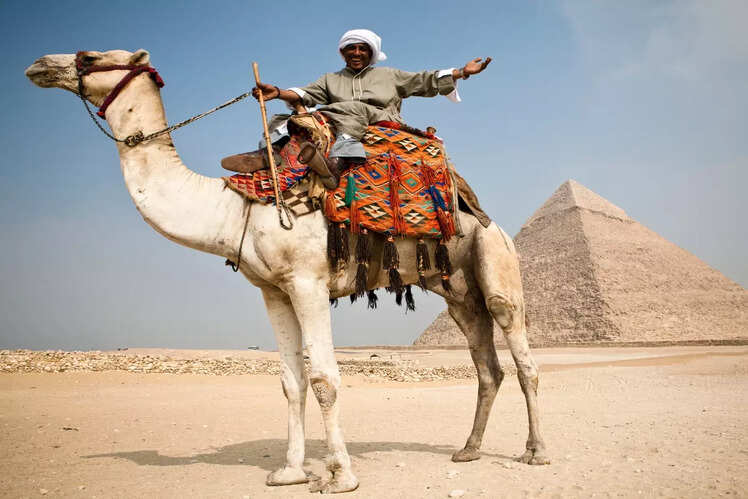 Bedouin, Middle East/Africa