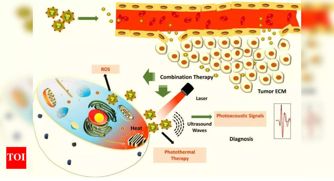 Hybrid nanoparticles shine new light on targeting Cancer cells - Times ...