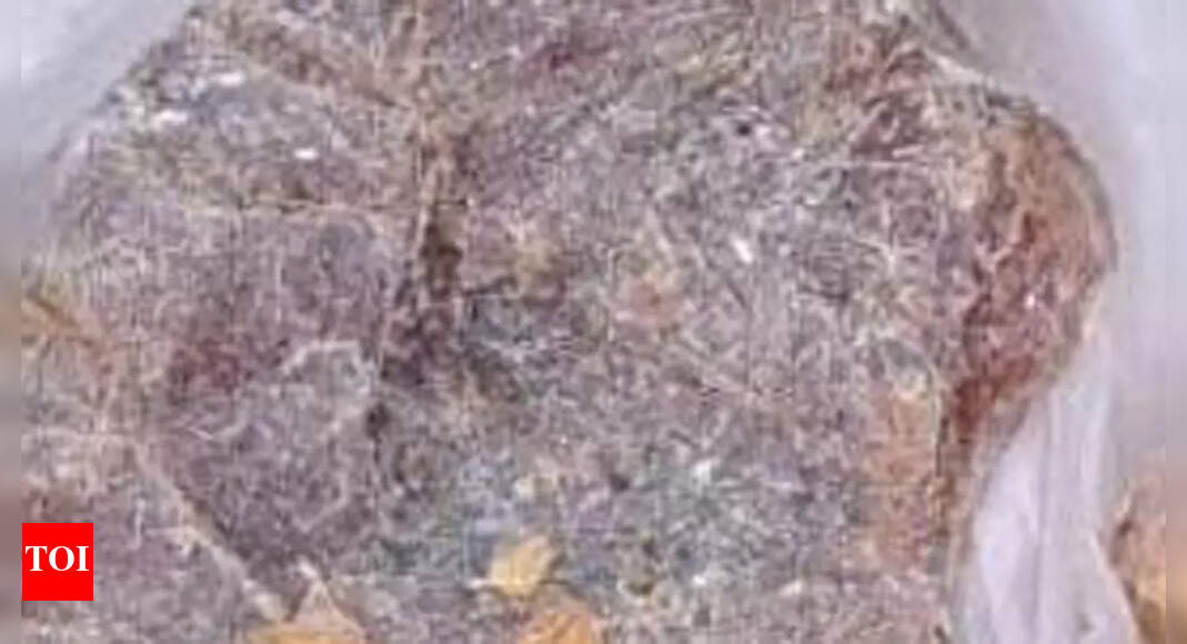 Ambergris worth Rs 90 lakh seized in Mangaluru; 3 held Mangaluru News