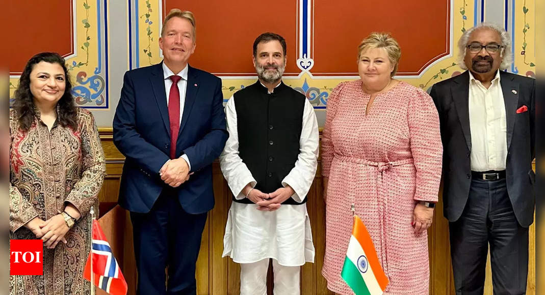 Kongressleder Rahul Gandhi møter norske lovgivere i Oslo |  Nyheter fra India