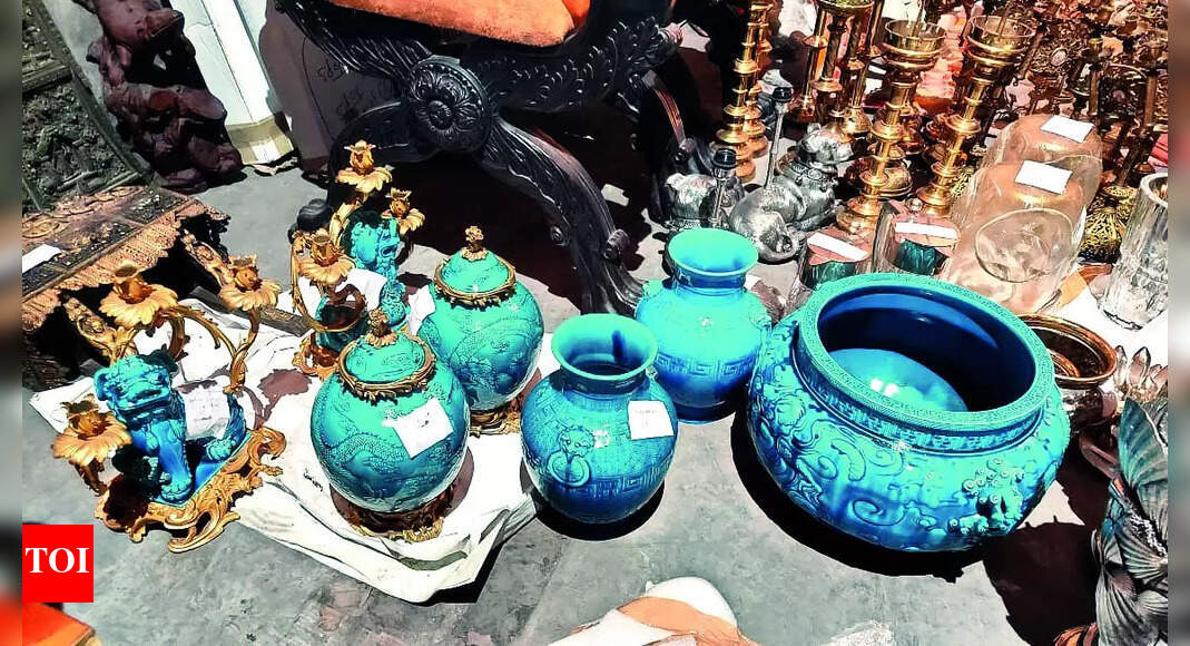 Paleontology Dri Seizes Antiques Worth 27 Crore Ahmedabad News