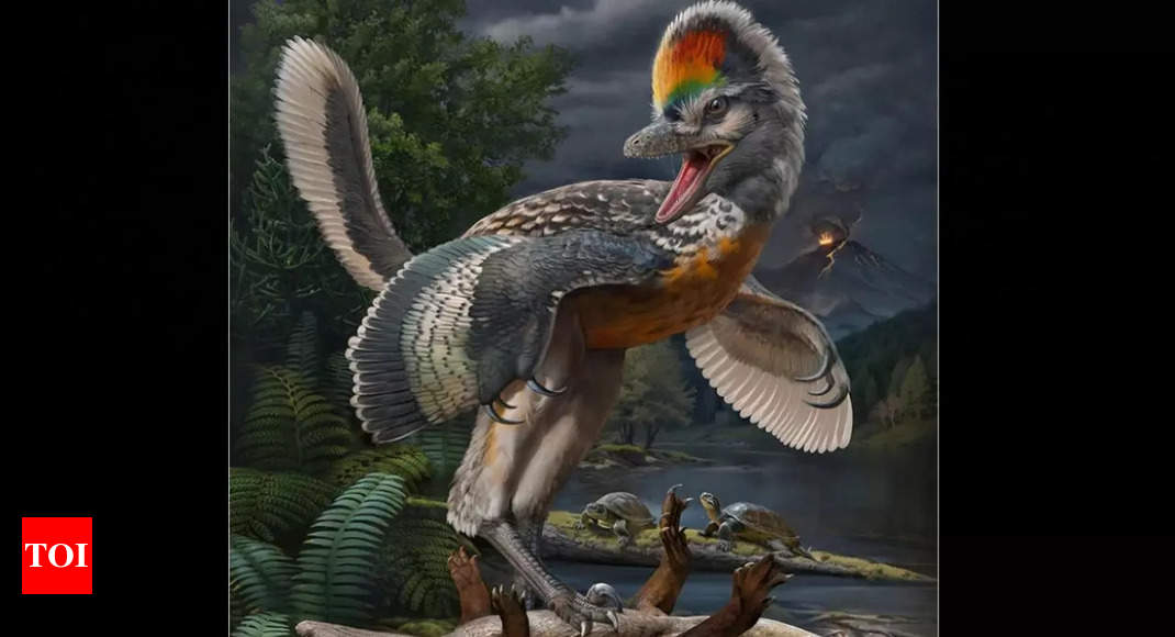 Discovery of this new fossil could reshape bird evolution theories