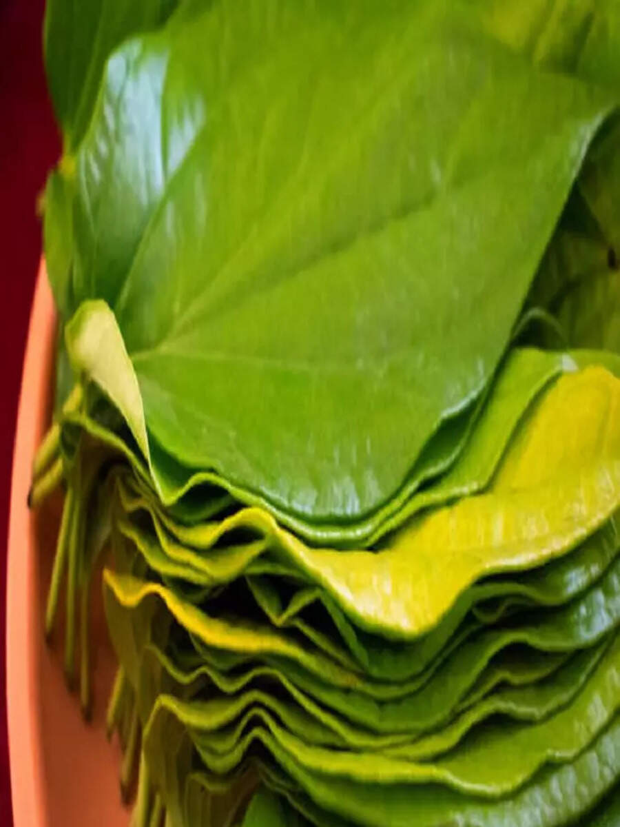 10 Health Benefits of Chewing Betel Leaves Times Now