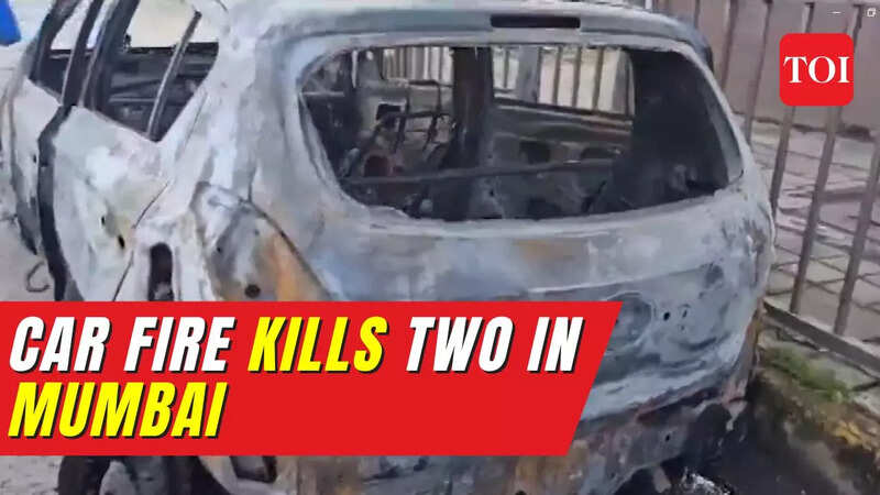 Mumbai: 2 brothers killed and 3 injured after car collides with divider ...