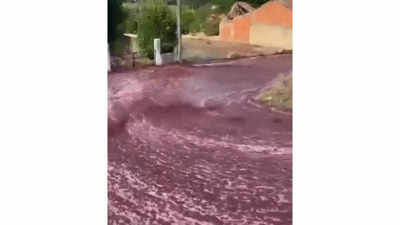 Viral video: Portuguese town flooded with red wine