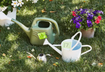 Watering Can for Your Plants (May, 2024)