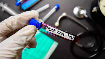 Kerala: Results of samples sent to virology institute in Pune awaited to confirm presence of Nipah virus