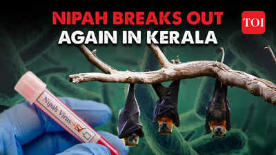 Nipah: Kozhikode and neighbouring districts on high alert, 4 active cases, central team to visit today