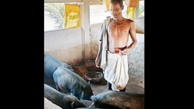 Crocodiles force Bhitarkanika villagers to quit fishing, rear pigs